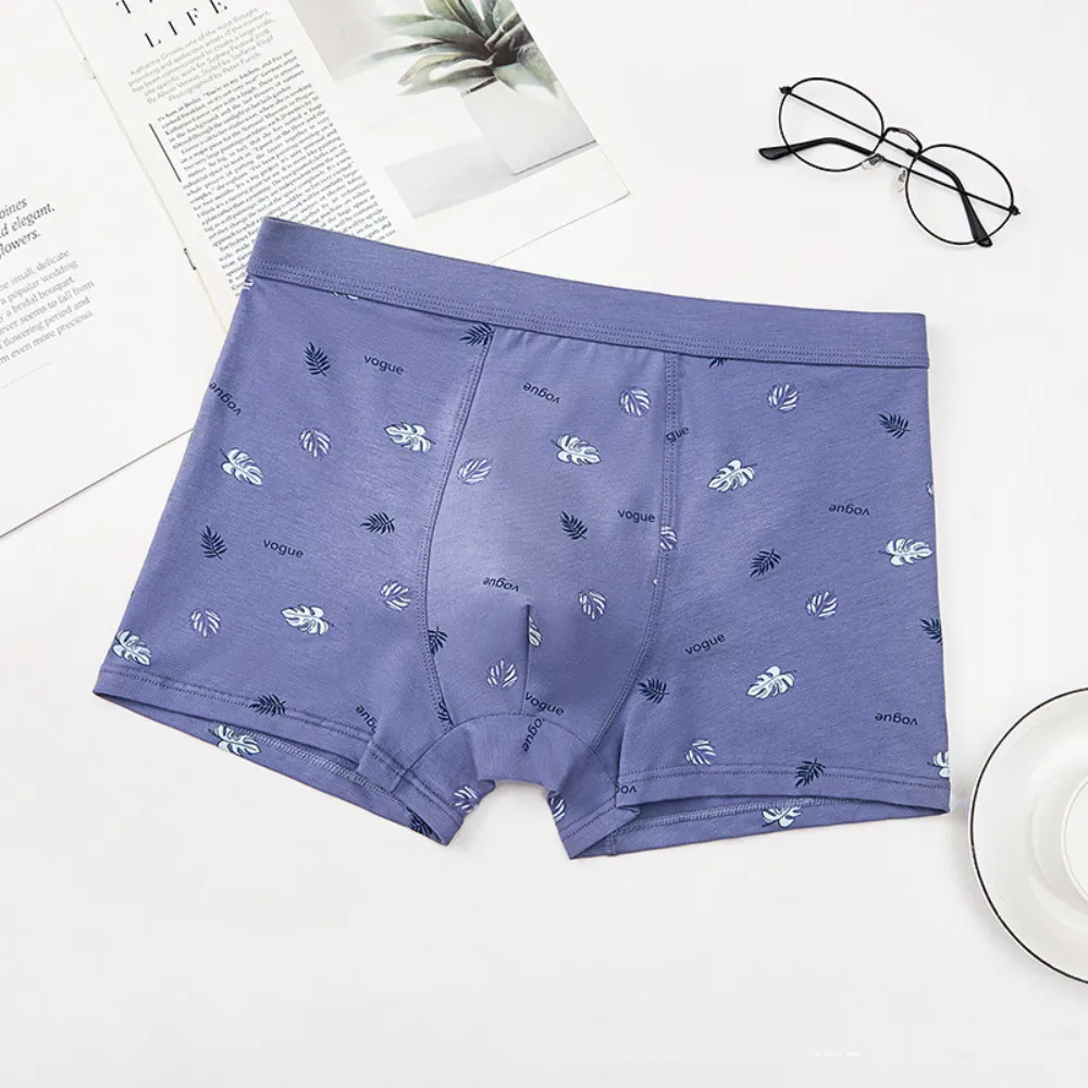 100% Cotton Premium Seamless Underwear (3 Pcs Set)