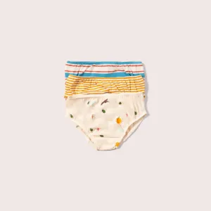 Adventure Organic Underwear Set - 3 Pack