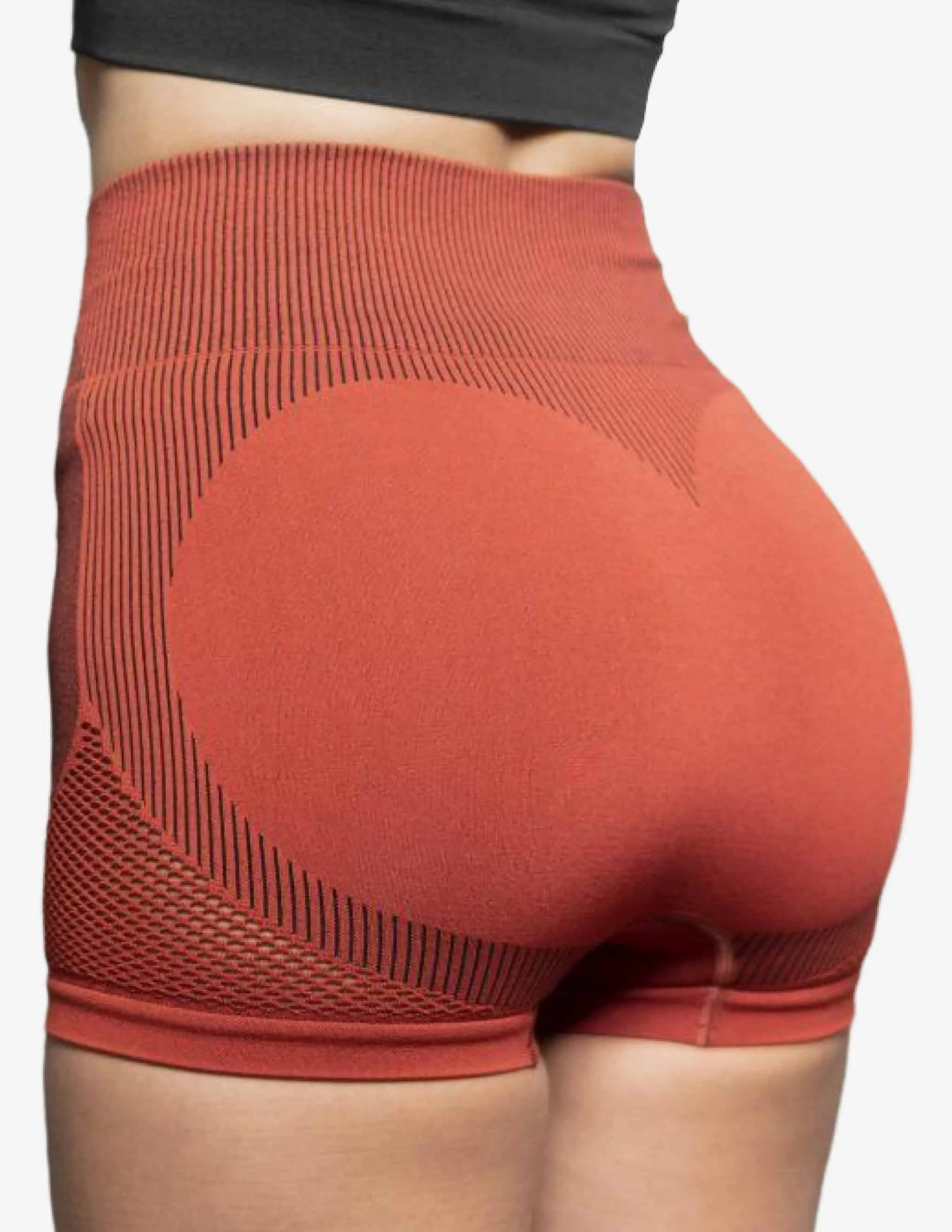 Aurora High Waist Seamless Shorts – Terra Rose