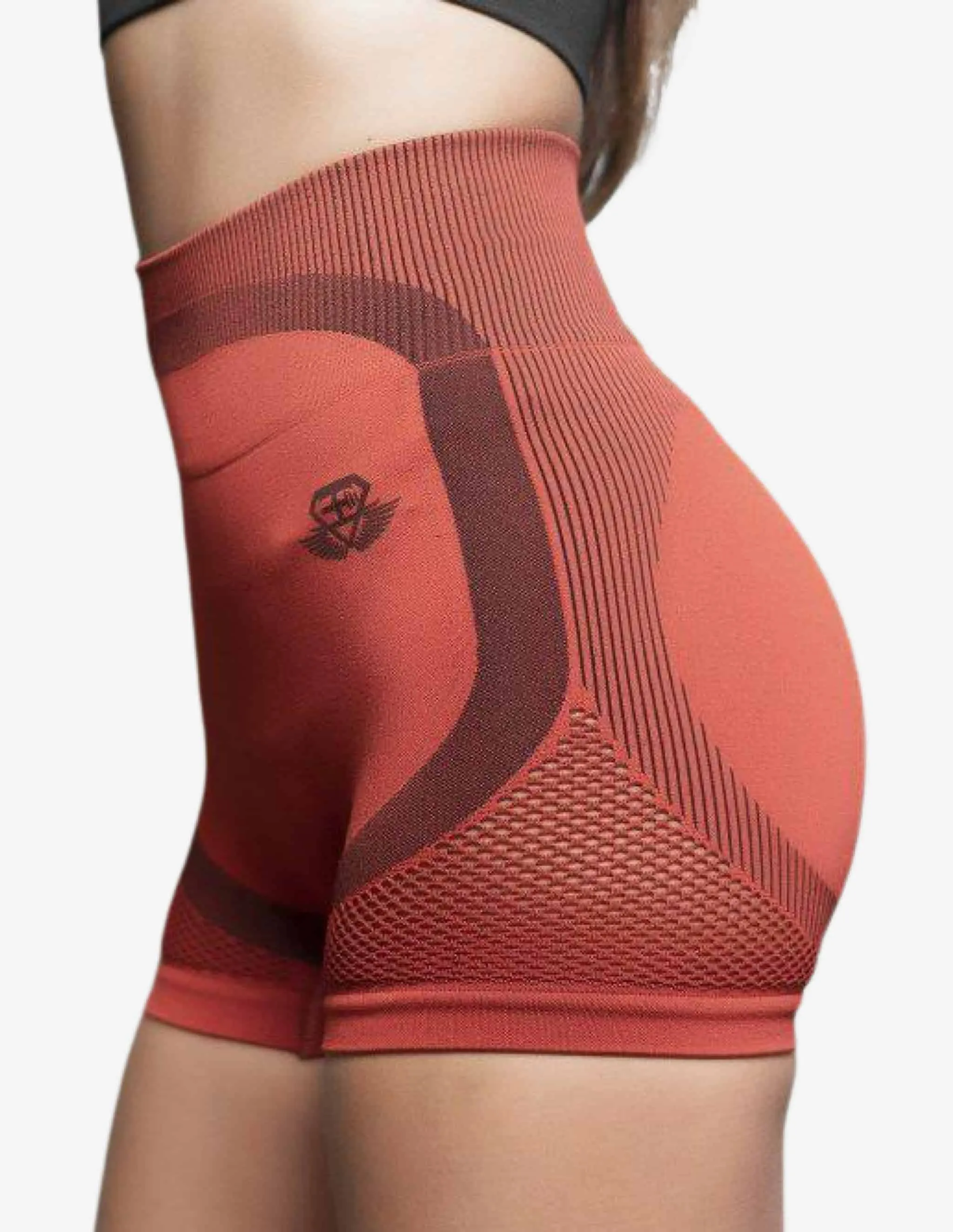 Aurora High Waist Seamless Shorts – Terra Rose