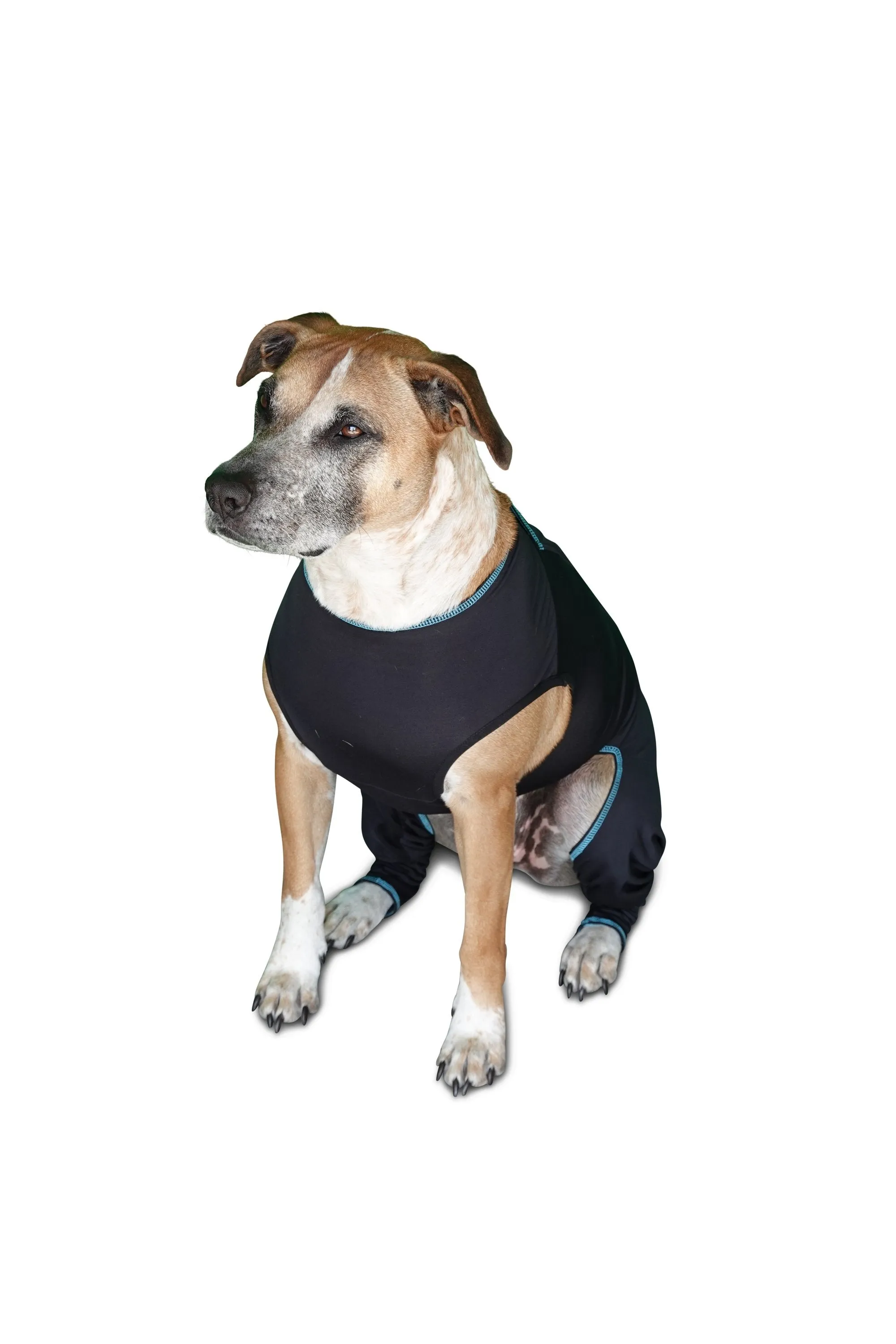 Benefab Canine Comfort Suit