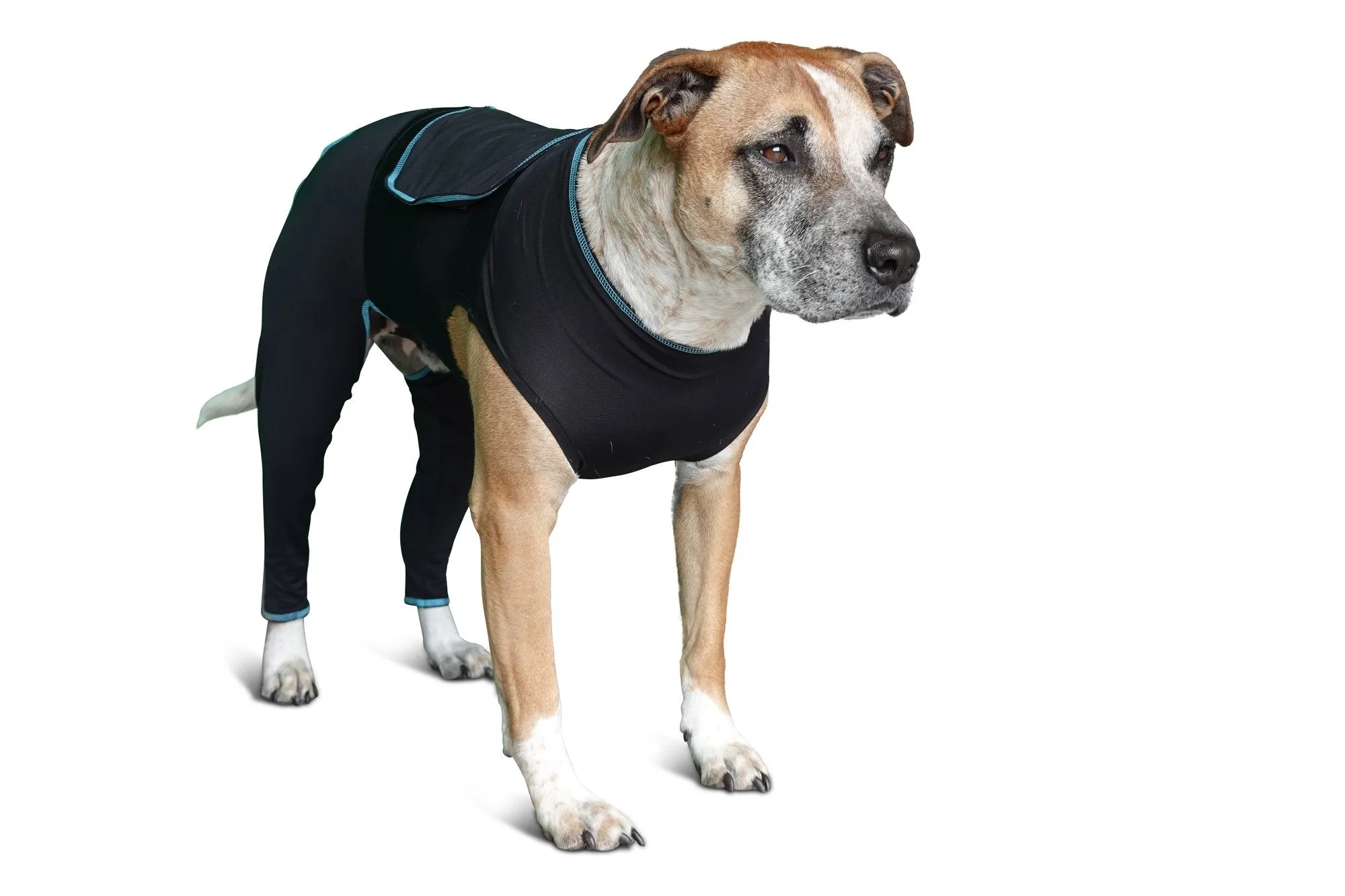 Benefab Canine Comfort Suit