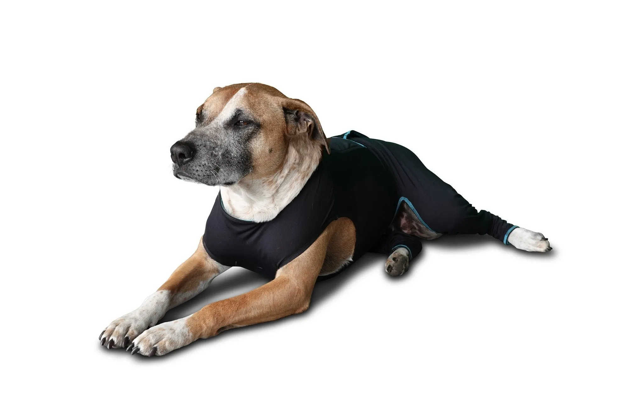 Benefab Canine Comfort Suit