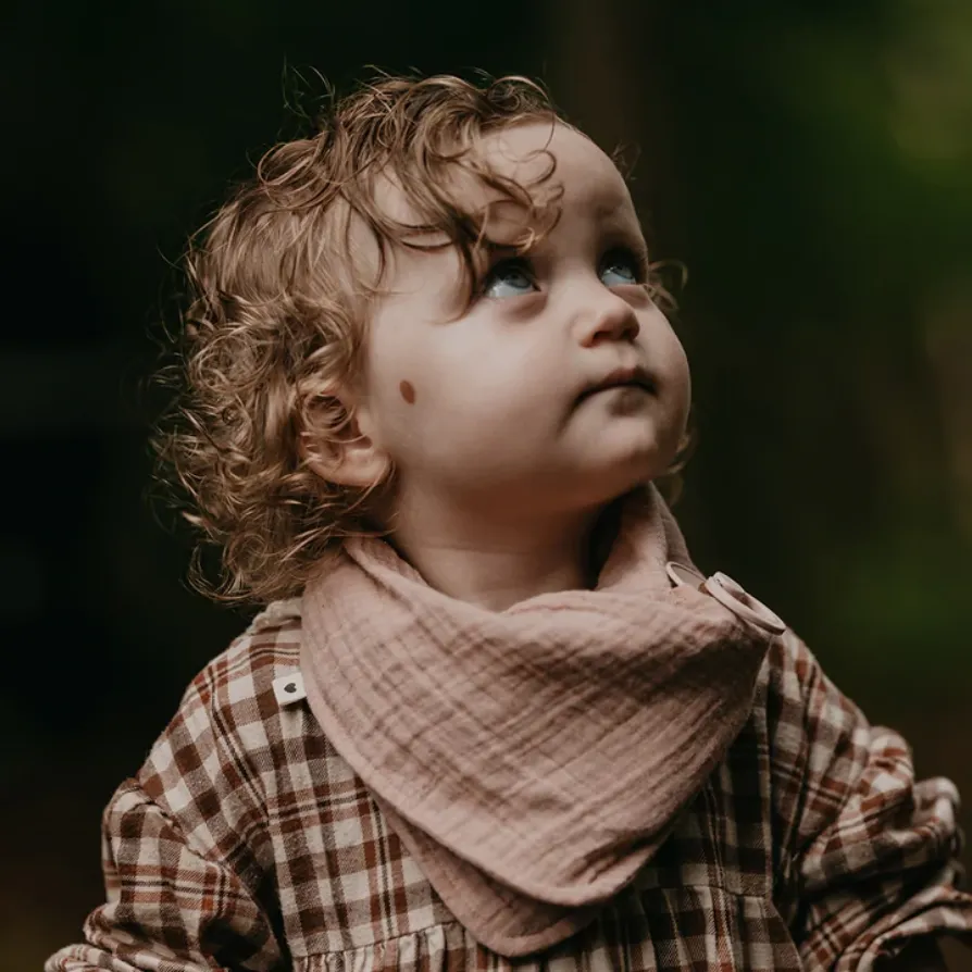 BIBS Bandana Bib | 100% Muslin | 8 Colors