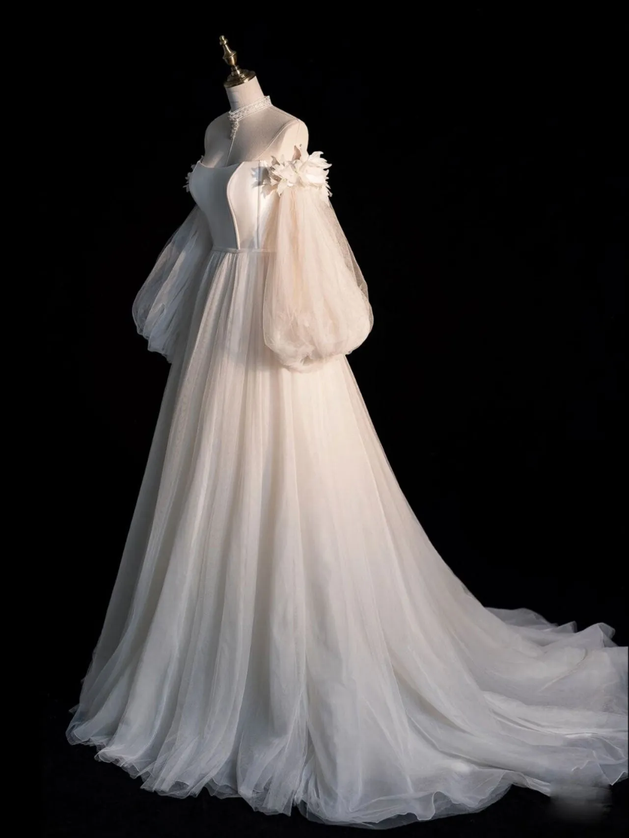 Champagne A line tulle long prom dress long sleeves formal dress