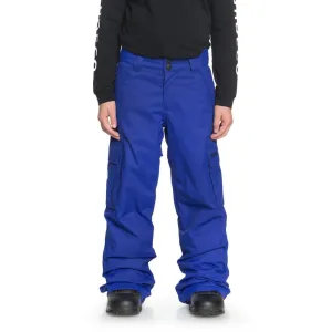 DC Youth Banshee Snow Pants