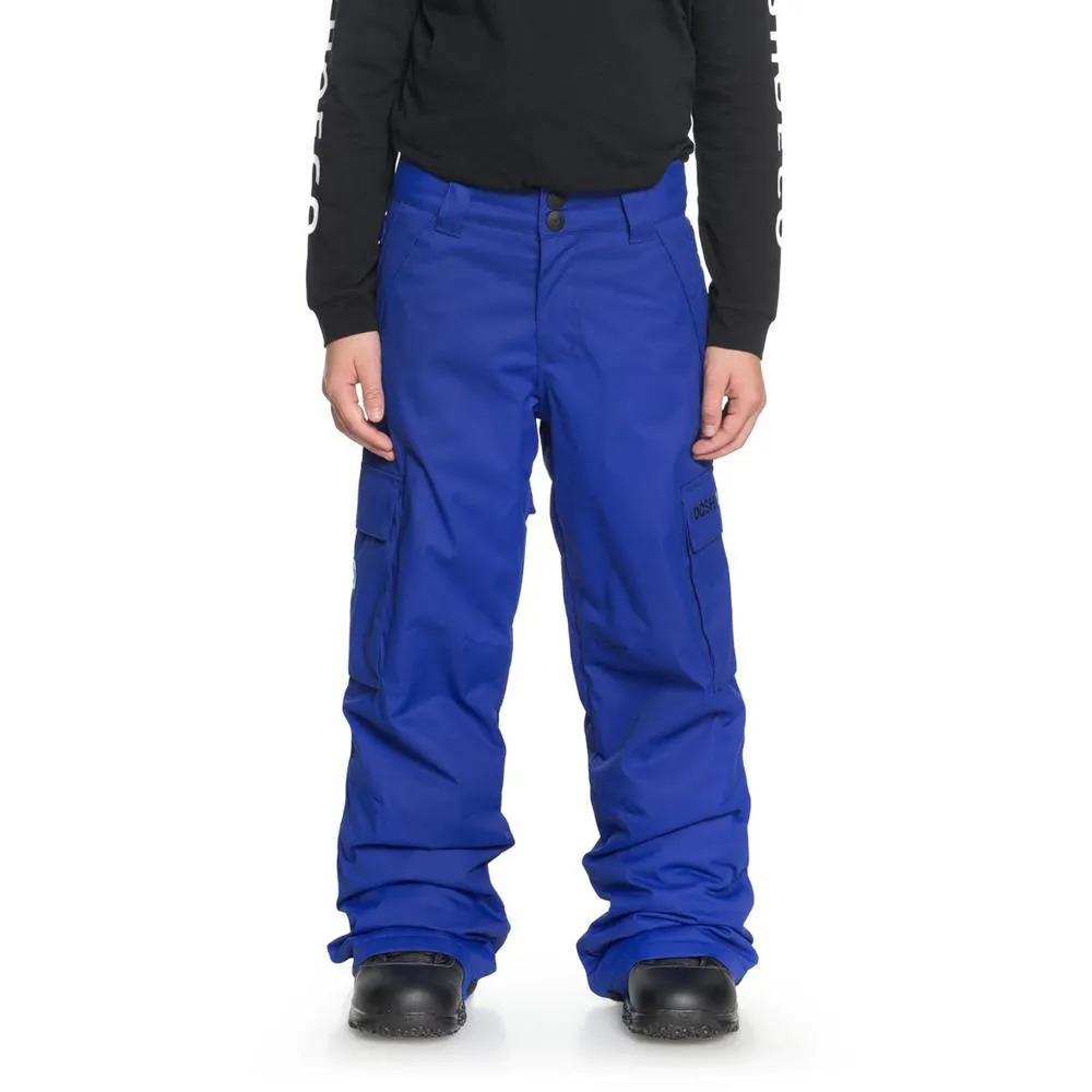 DC Youth Banshee Snow Pants