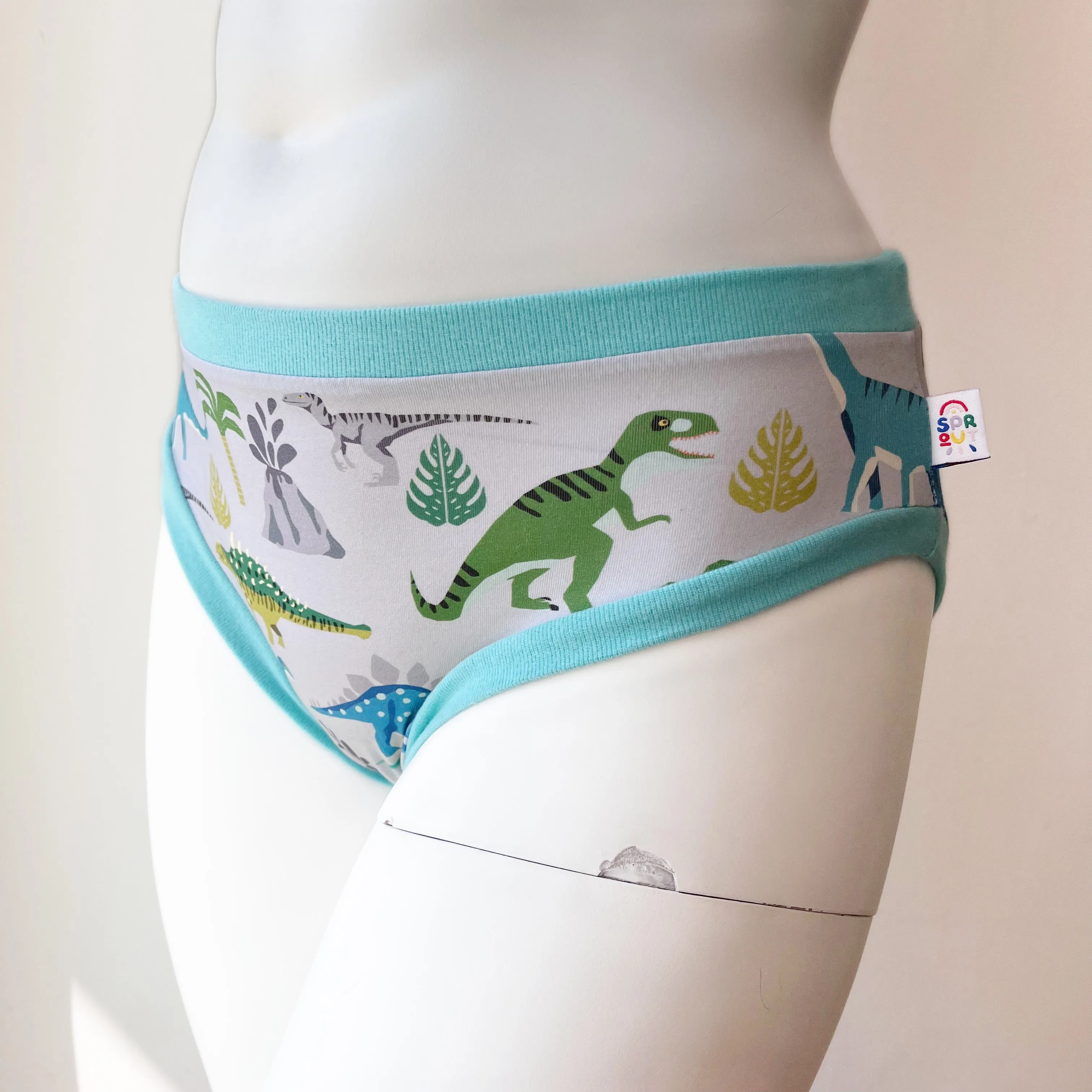 Dinosaur Adult Pants | Women's Knickers | Organic Cotton Underwear