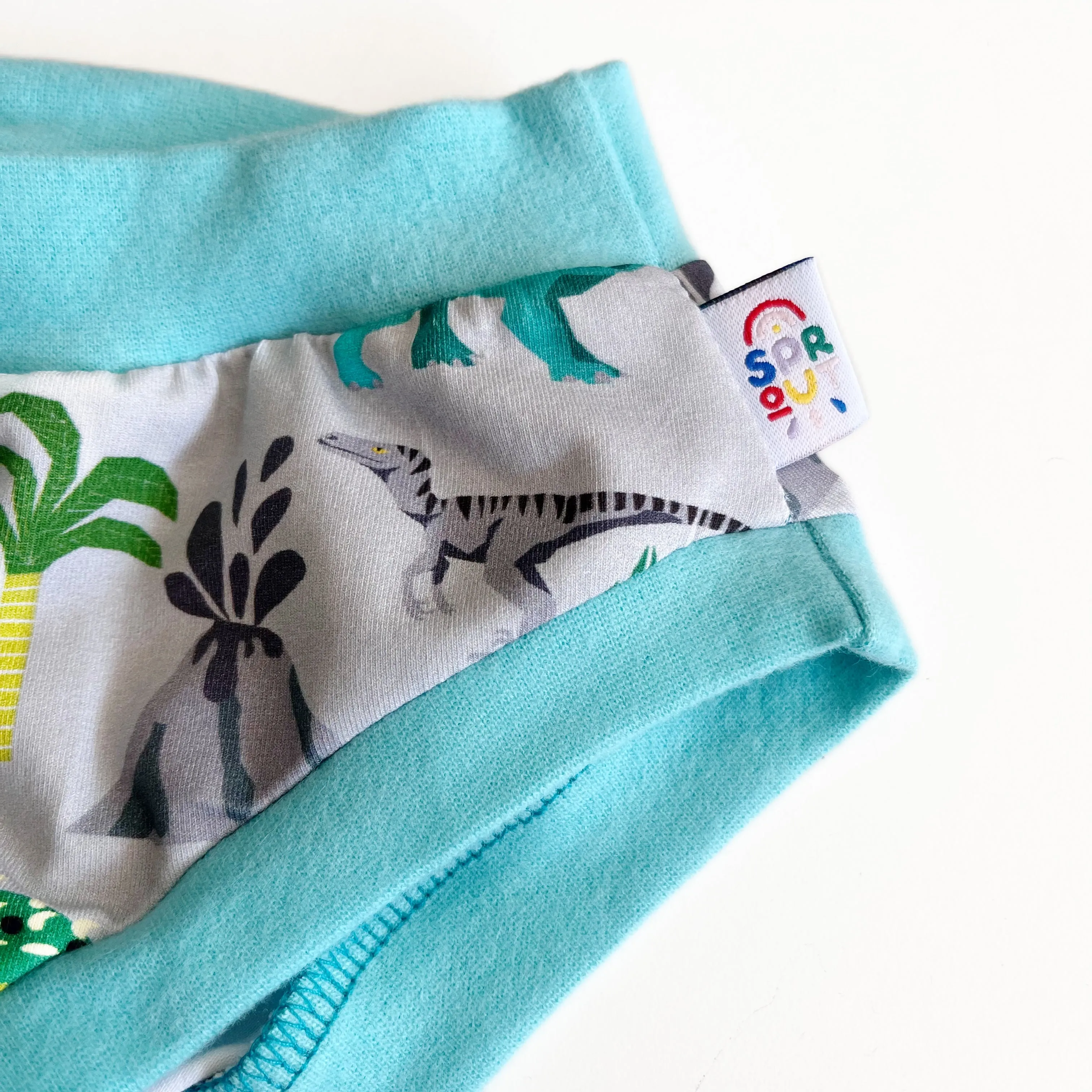 Dinosaur Adult Pants | Women's Knickers | Organic Cotton Underwear