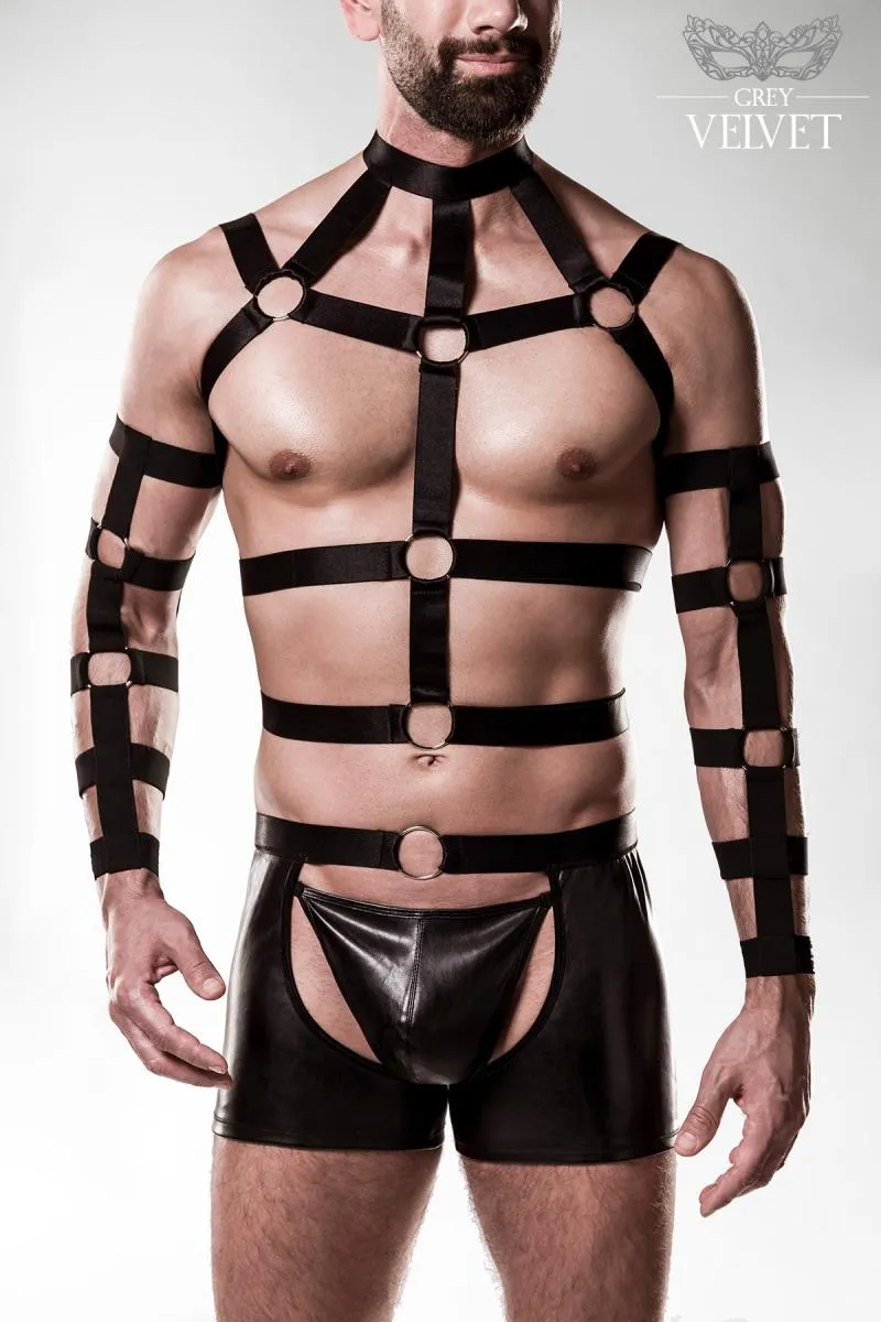 Grey Velvet Mens Harness Set