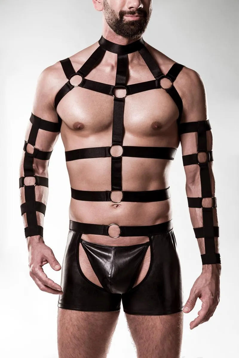 Grey Velvet Mens Harness Set