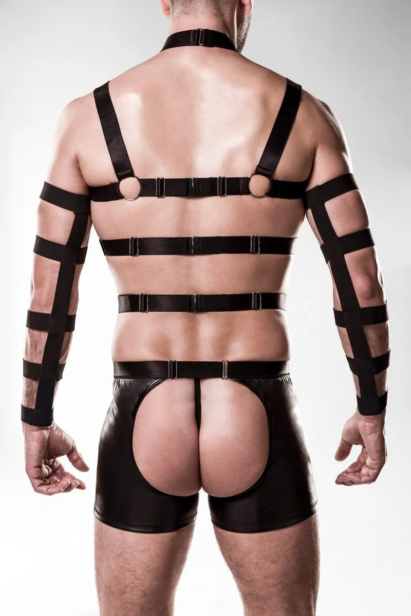 Grey Velvet Mens Harness Set