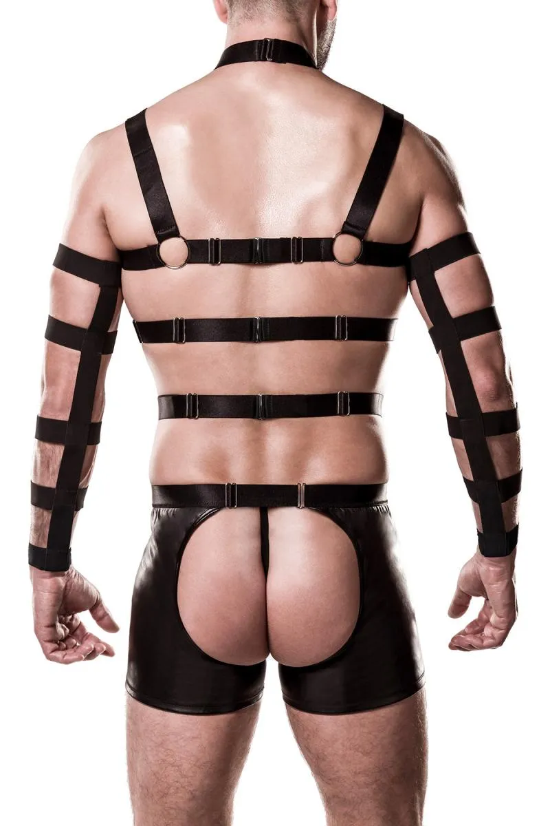 Grey Velvet Mens Harness Set