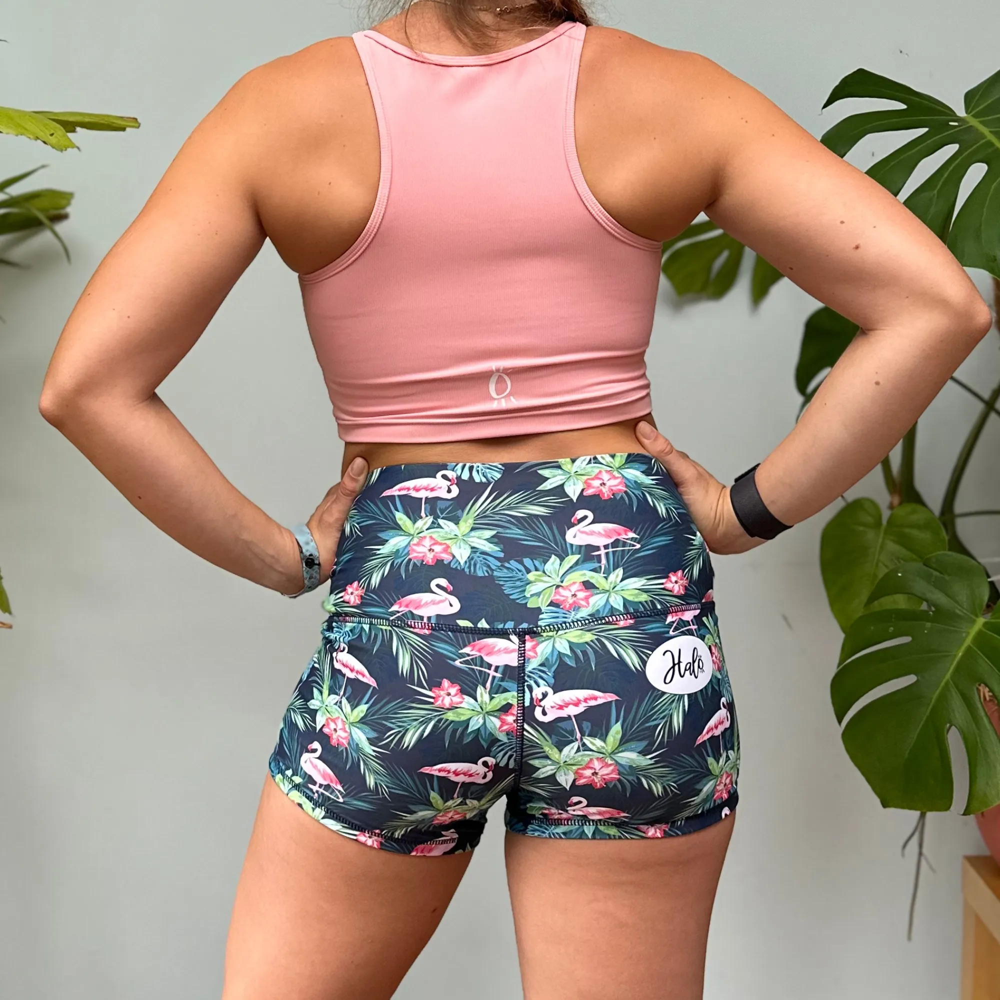 Halo Sandstorm Ribbed Tank Bra in Powder Pink
