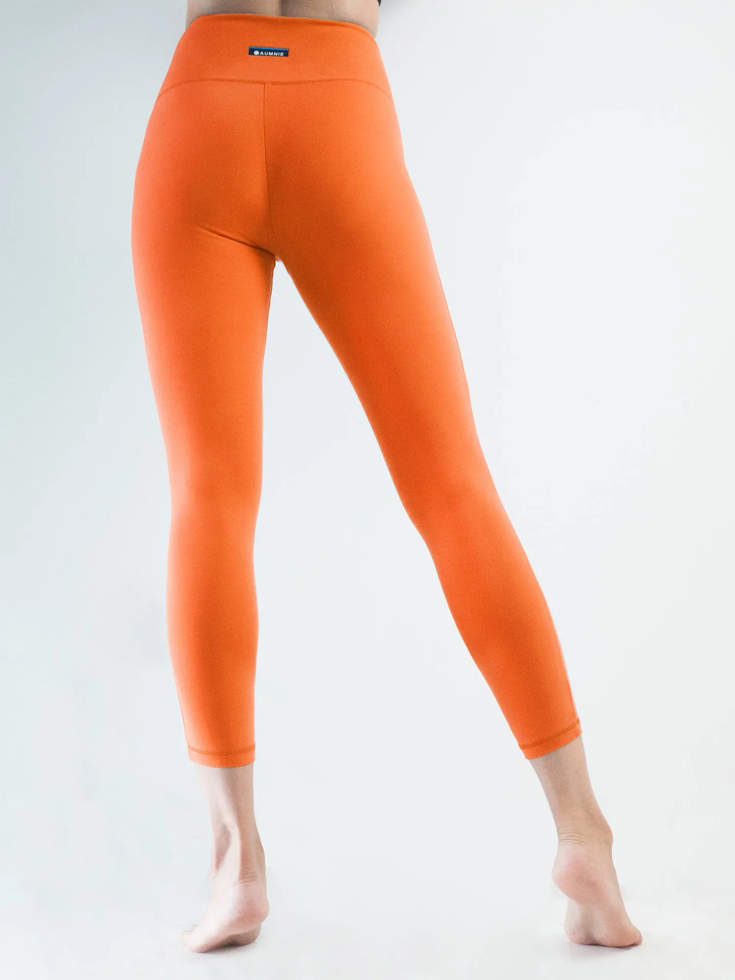 INTRO ANKLE CROPS