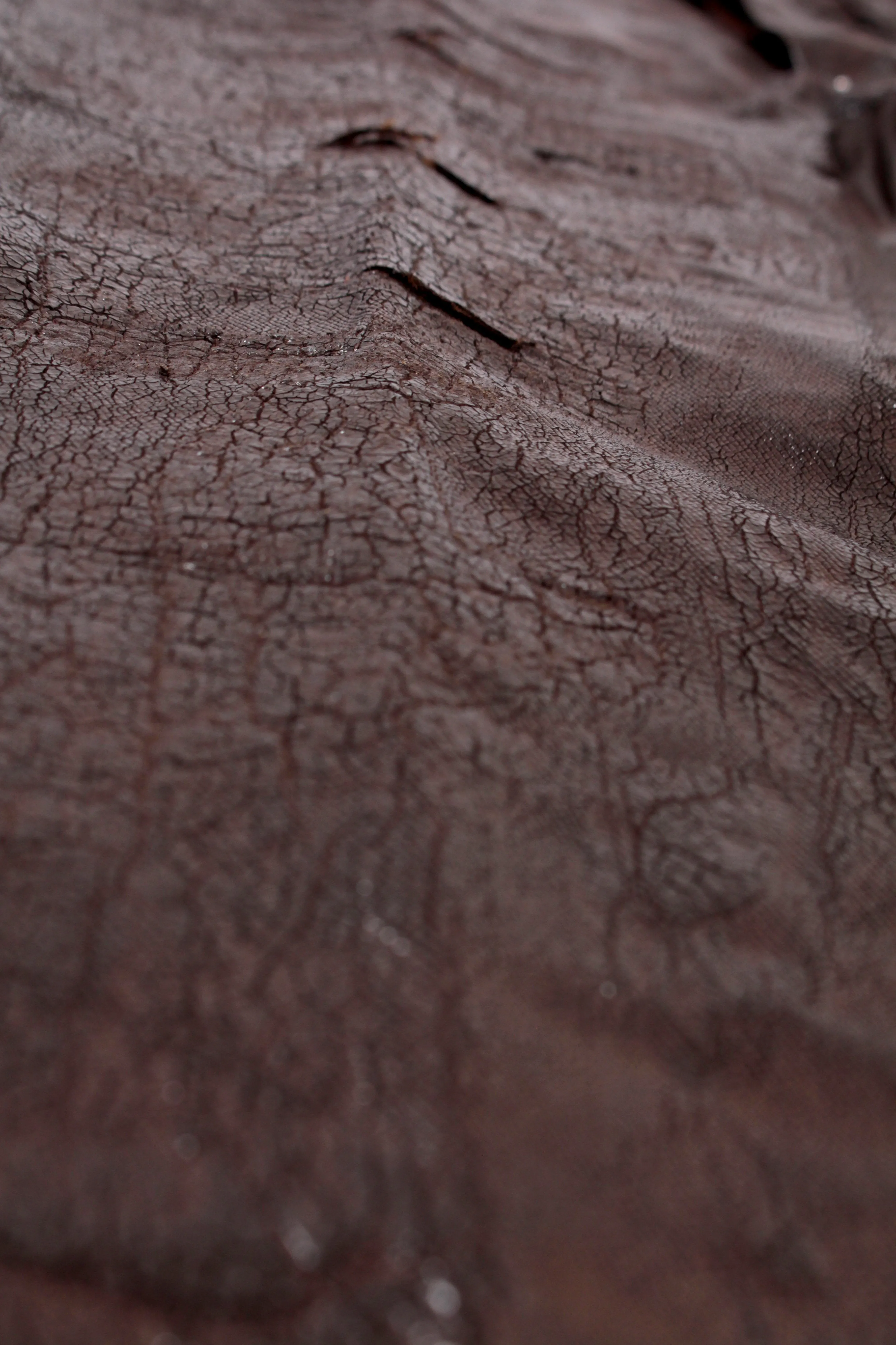 Leather 5 Pocket Pants - Brown