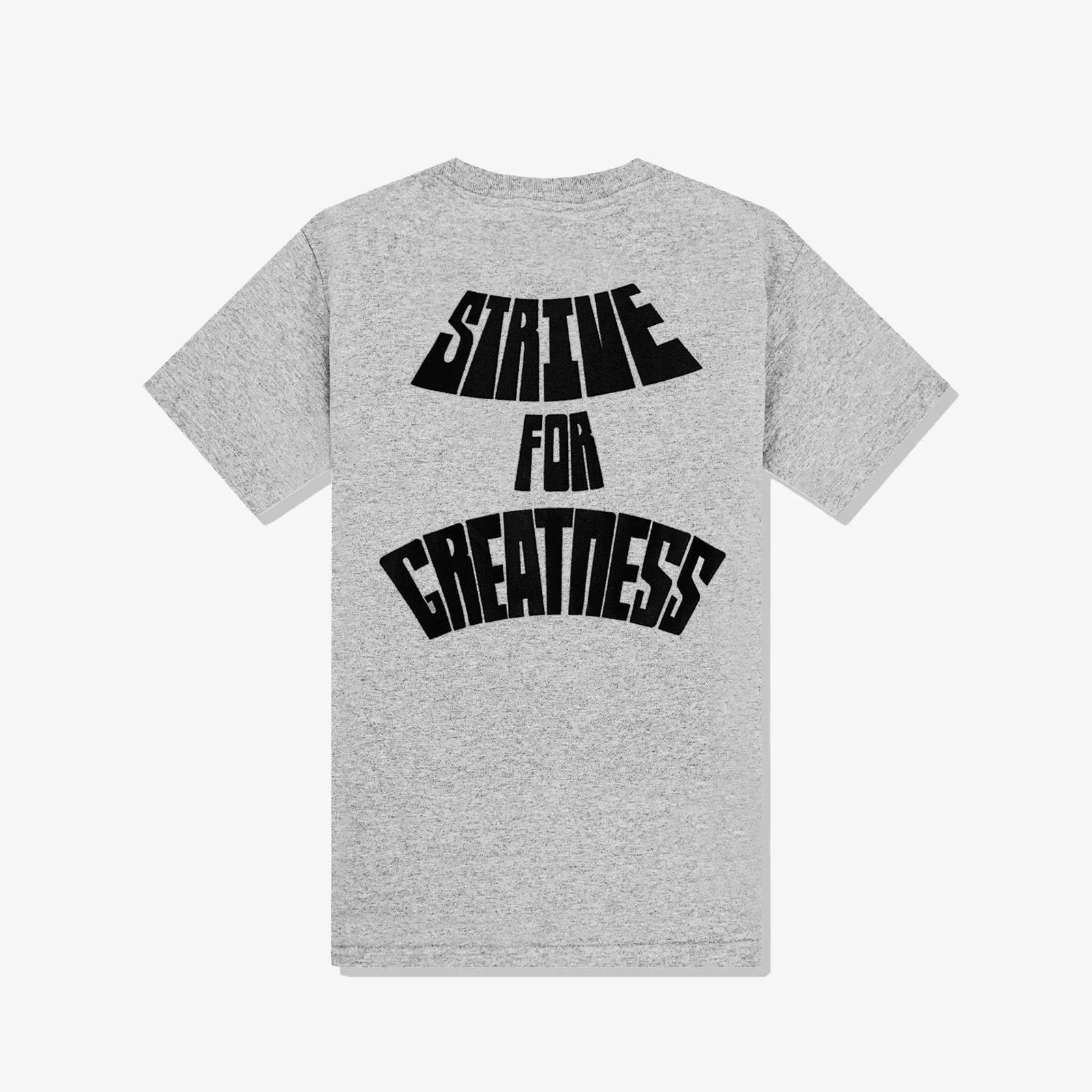 LeBron 'Strive For Greatness' Dri-FIT Youth T-Shirt - Grey