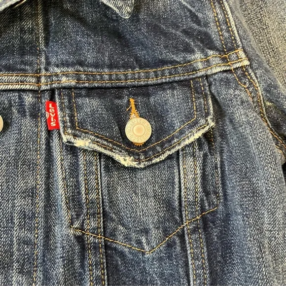 LEVI’s Ex Boyfriend Trucker Jacket in Blue Woodstock, XS