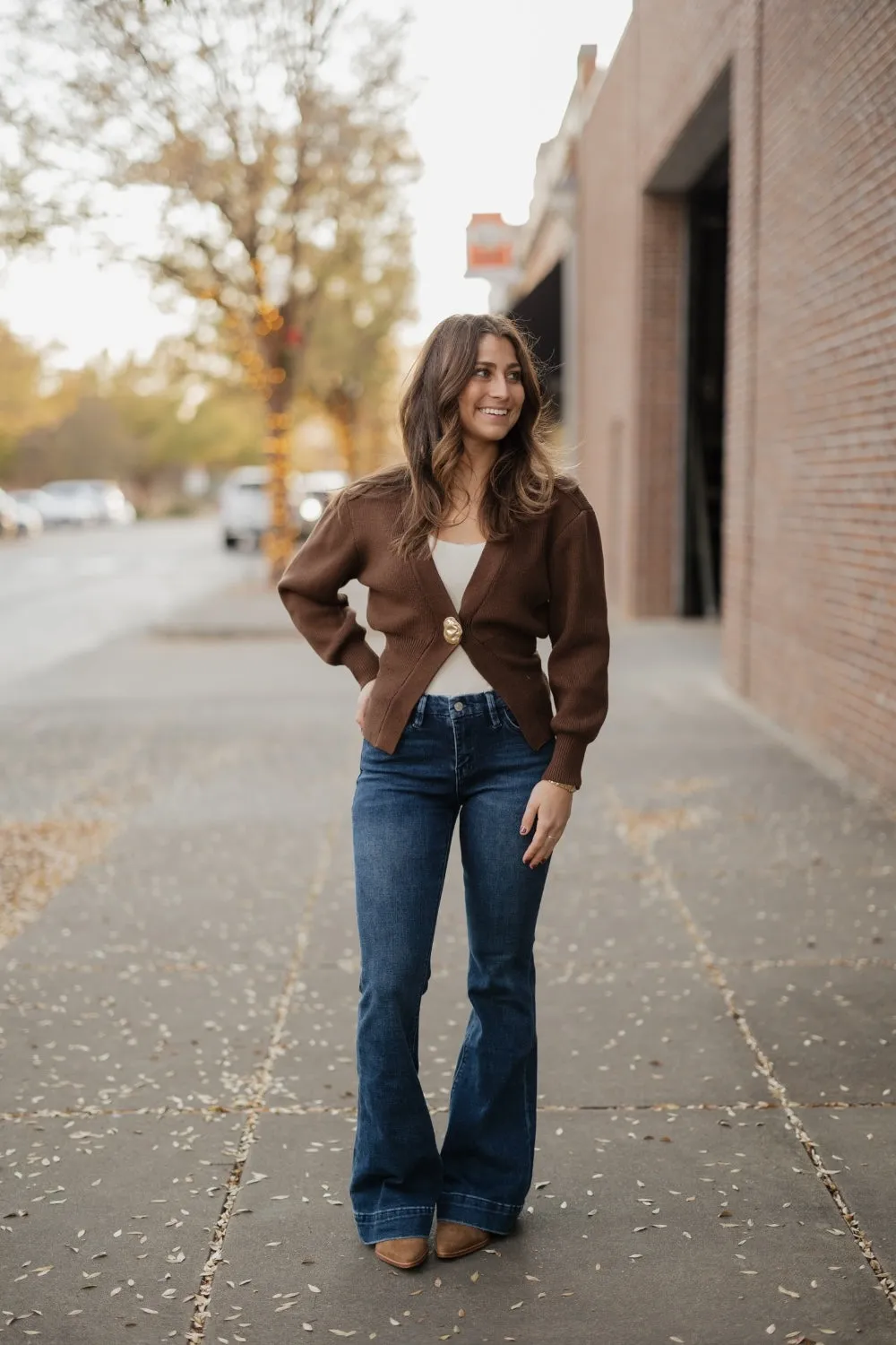 Lillian Brown Cardigan