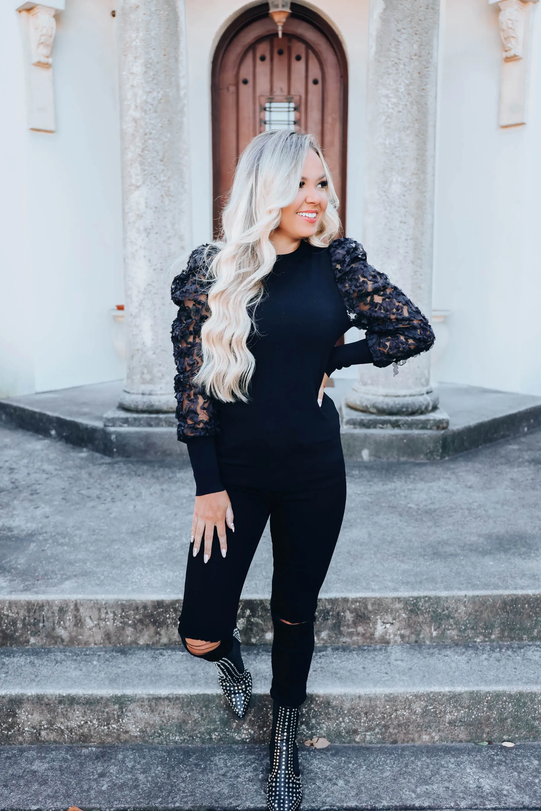 Organza Sheer Ruffle Sleeve Top - Black