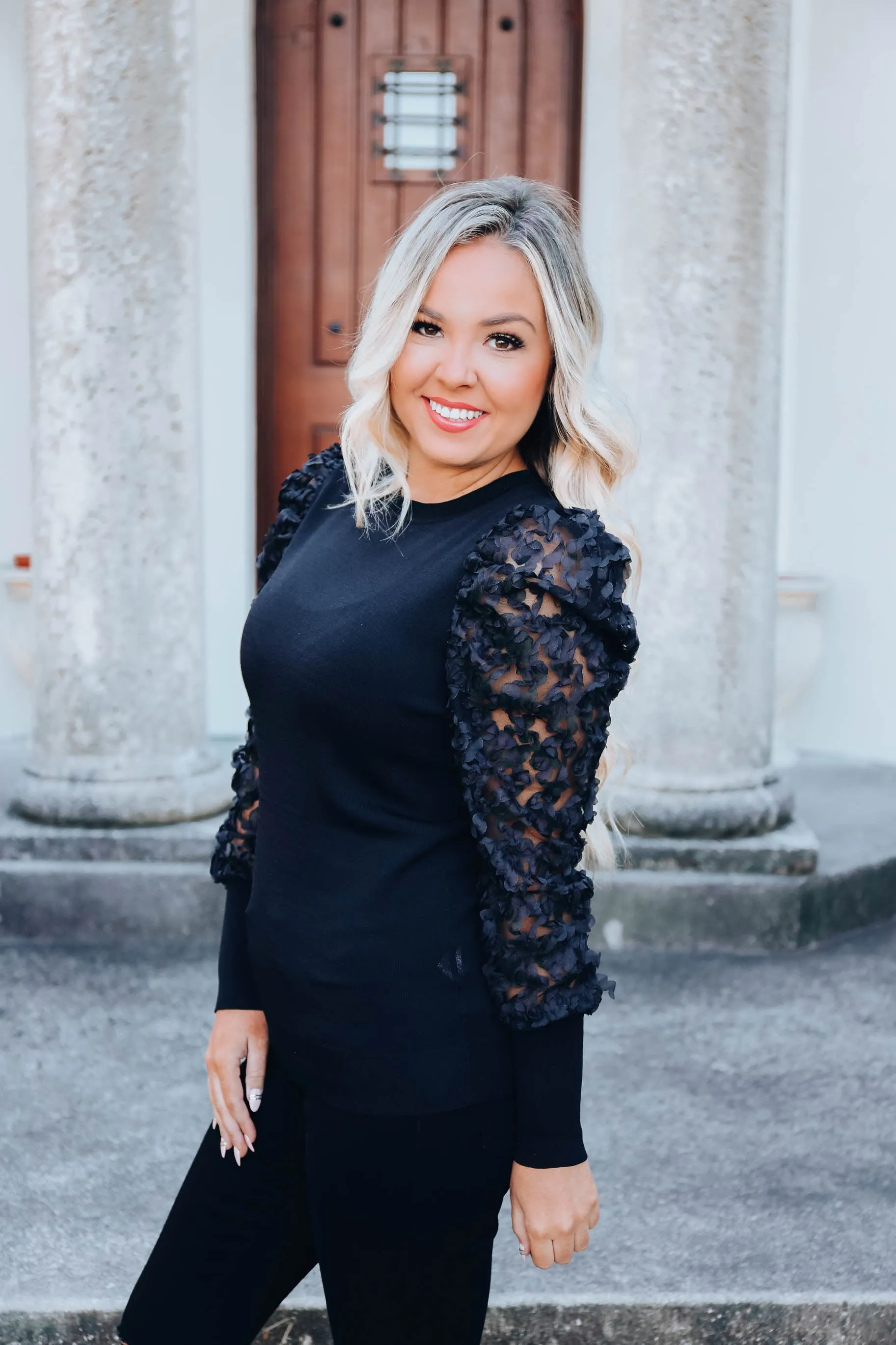 Organza Sheer Ruffle Sleeve Top - Black