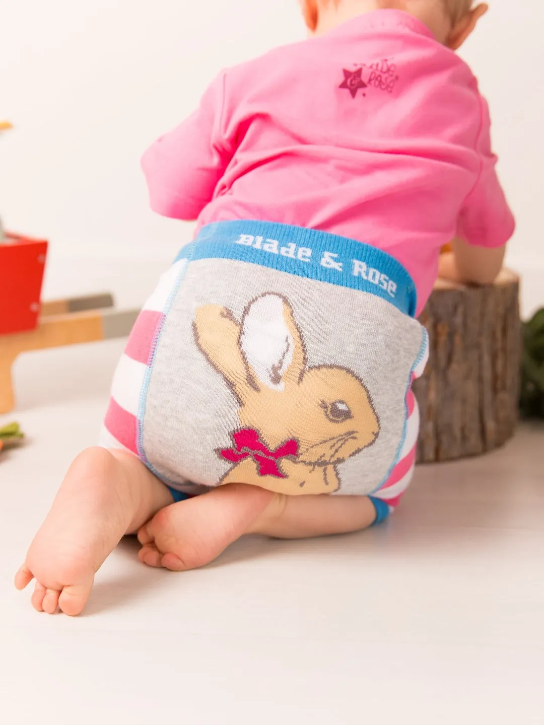 Peter Rabbit Springtime Shorts