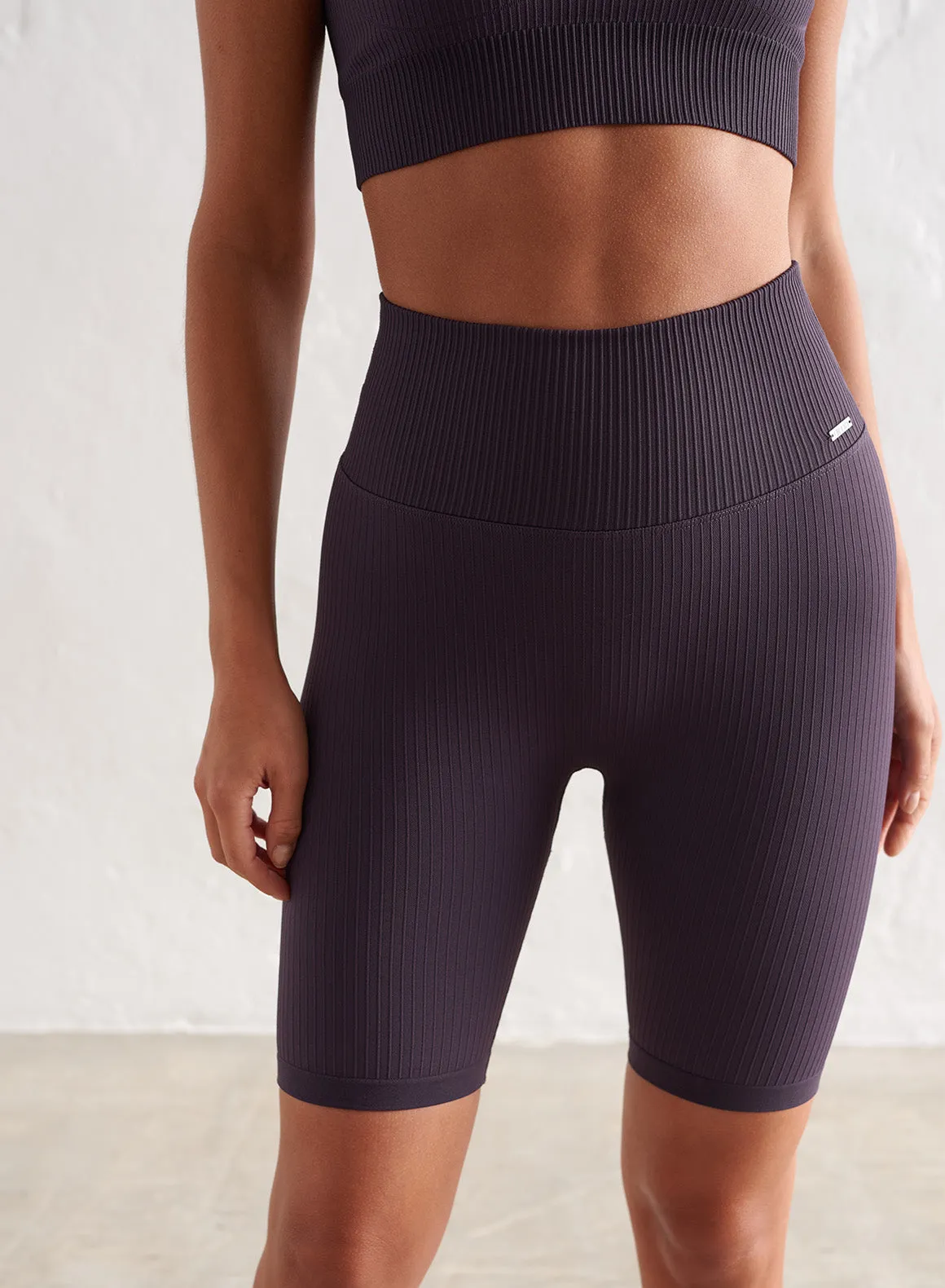 Plum Ribbed Seamless Biker Shorts
