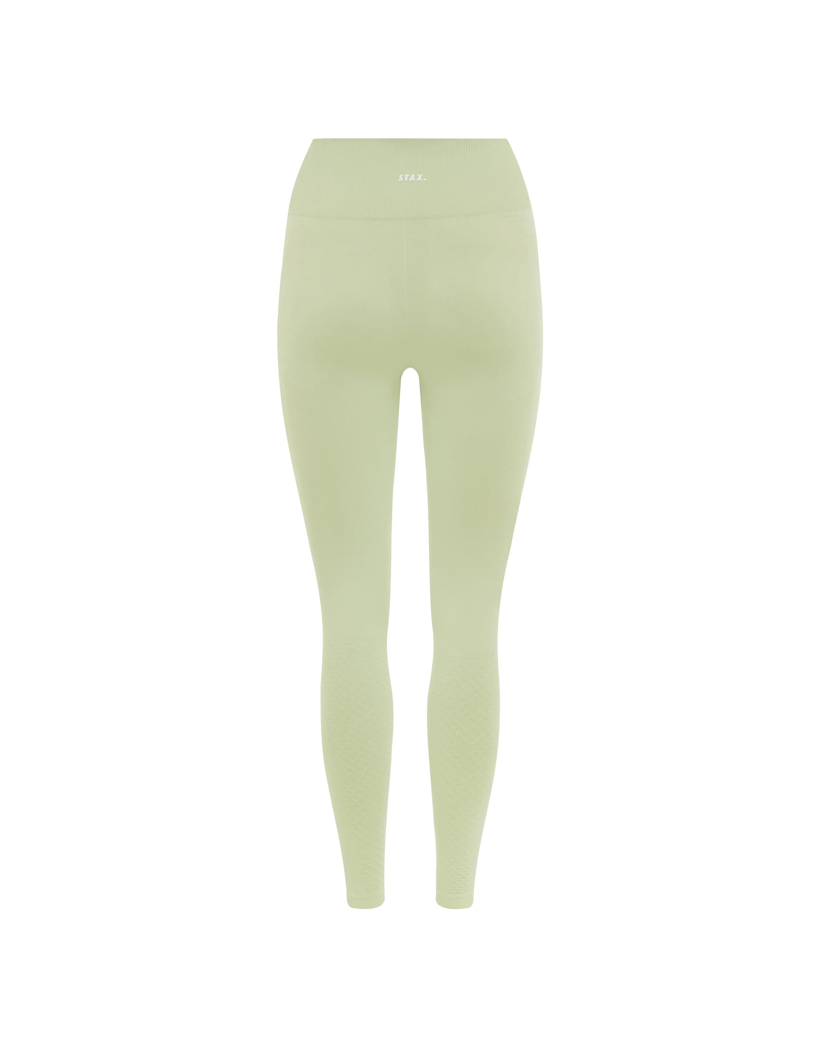 Premium Seamless Tights V6 - Viridis (Green)
