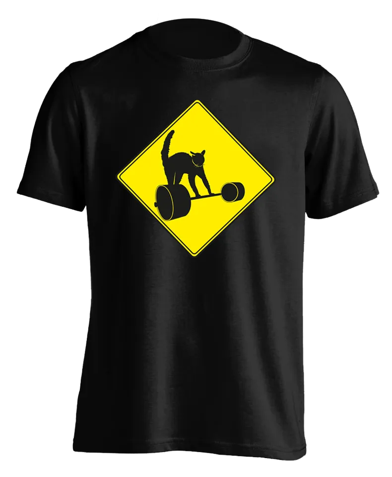 "Dangerous Curves" T-Shirt