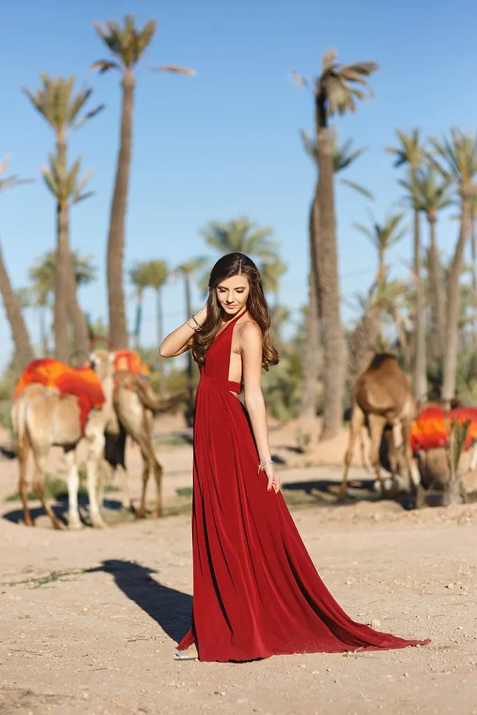 Simple A-line V Neck Sweep Train Sleeveless Long Burgundy Chiffon Prom Dresses/Evening Dress OHC288