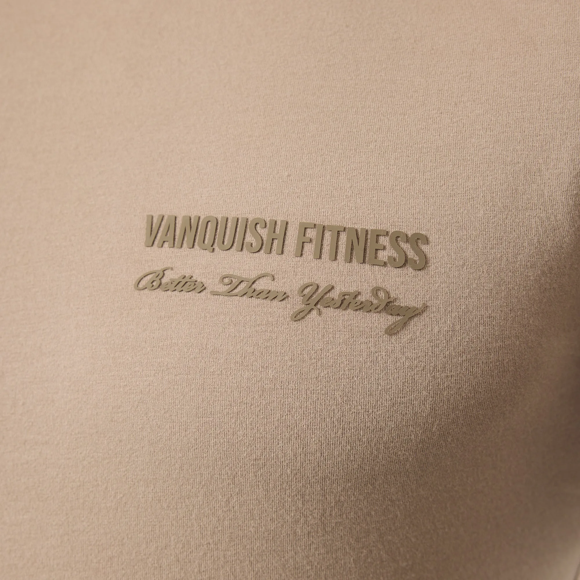 【Sのみ】VANQUISH FITNESS Signatureモデル フィットTシャツ サンド 国内発送