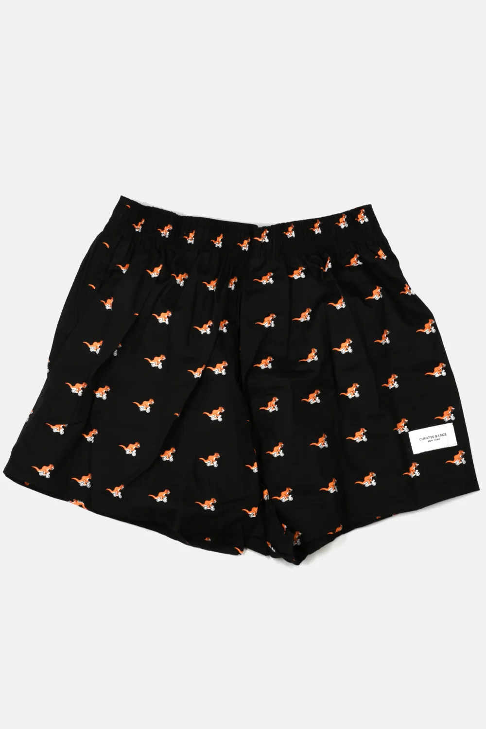 T-Rex on a Bike Boxer Shorts