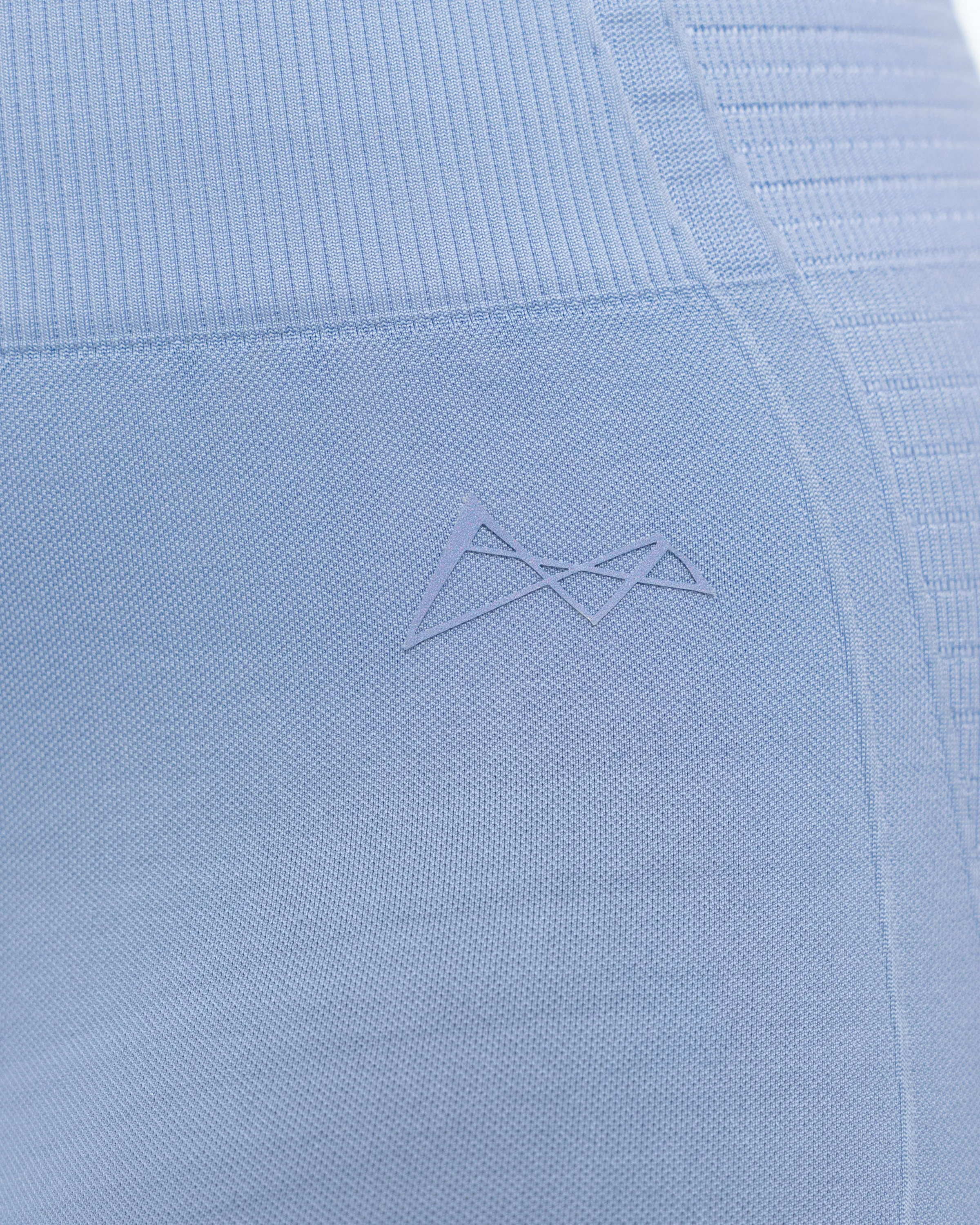 Velocity Seamless Shorts