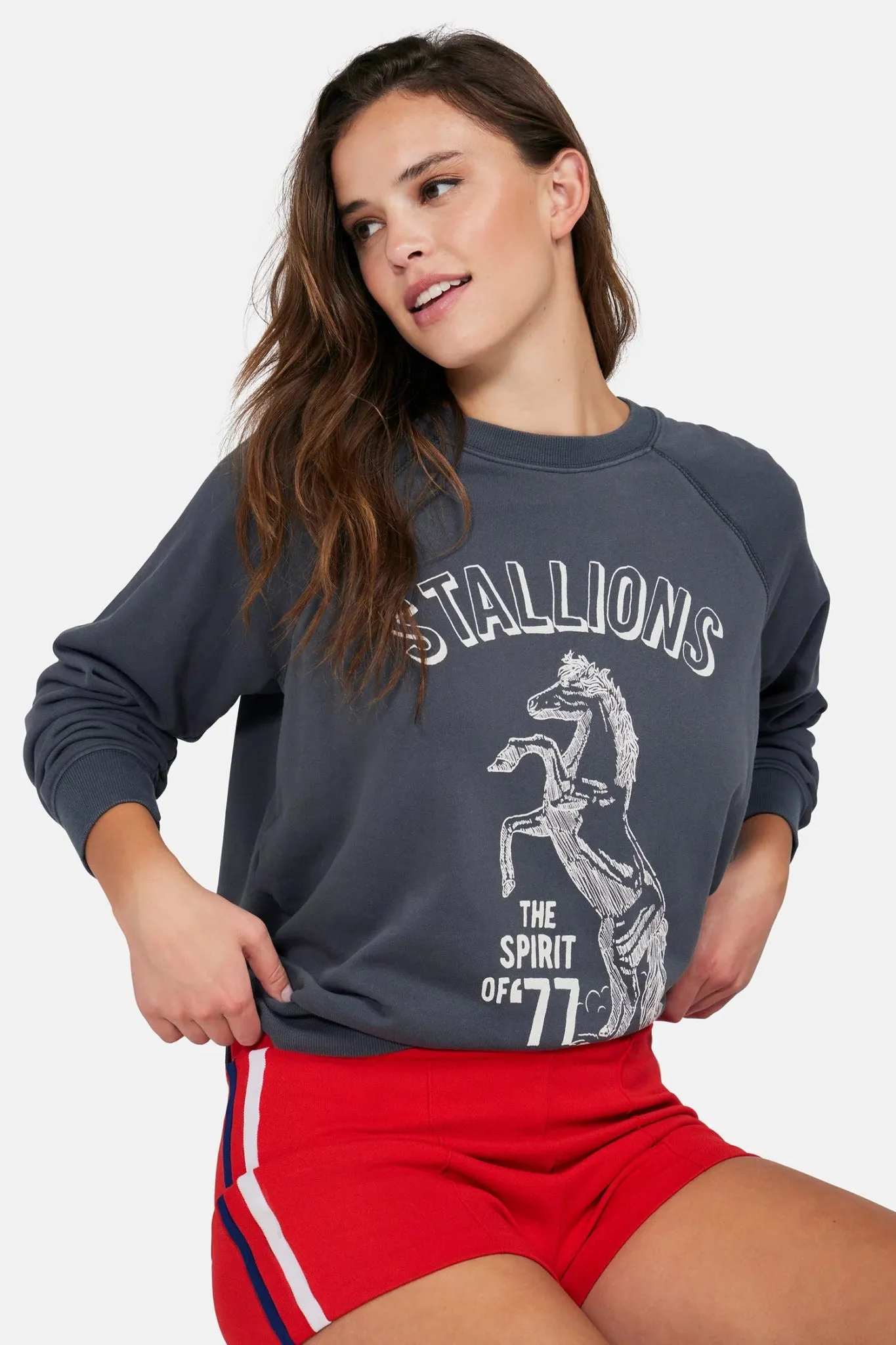 Wildfox Stallion Of 77 Sommers Sweatshirt