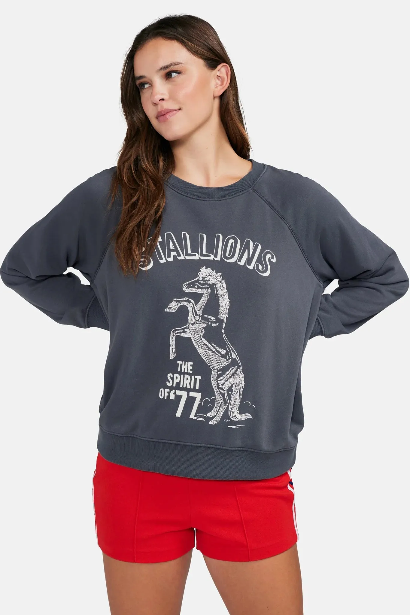 Wildfox Stallion Of 77 Sommers Sweatshirt